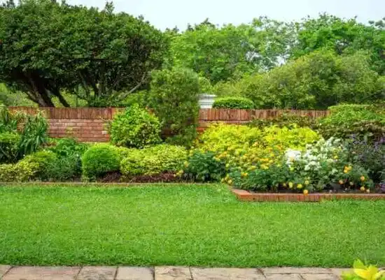 landscaping services Bloomingdale